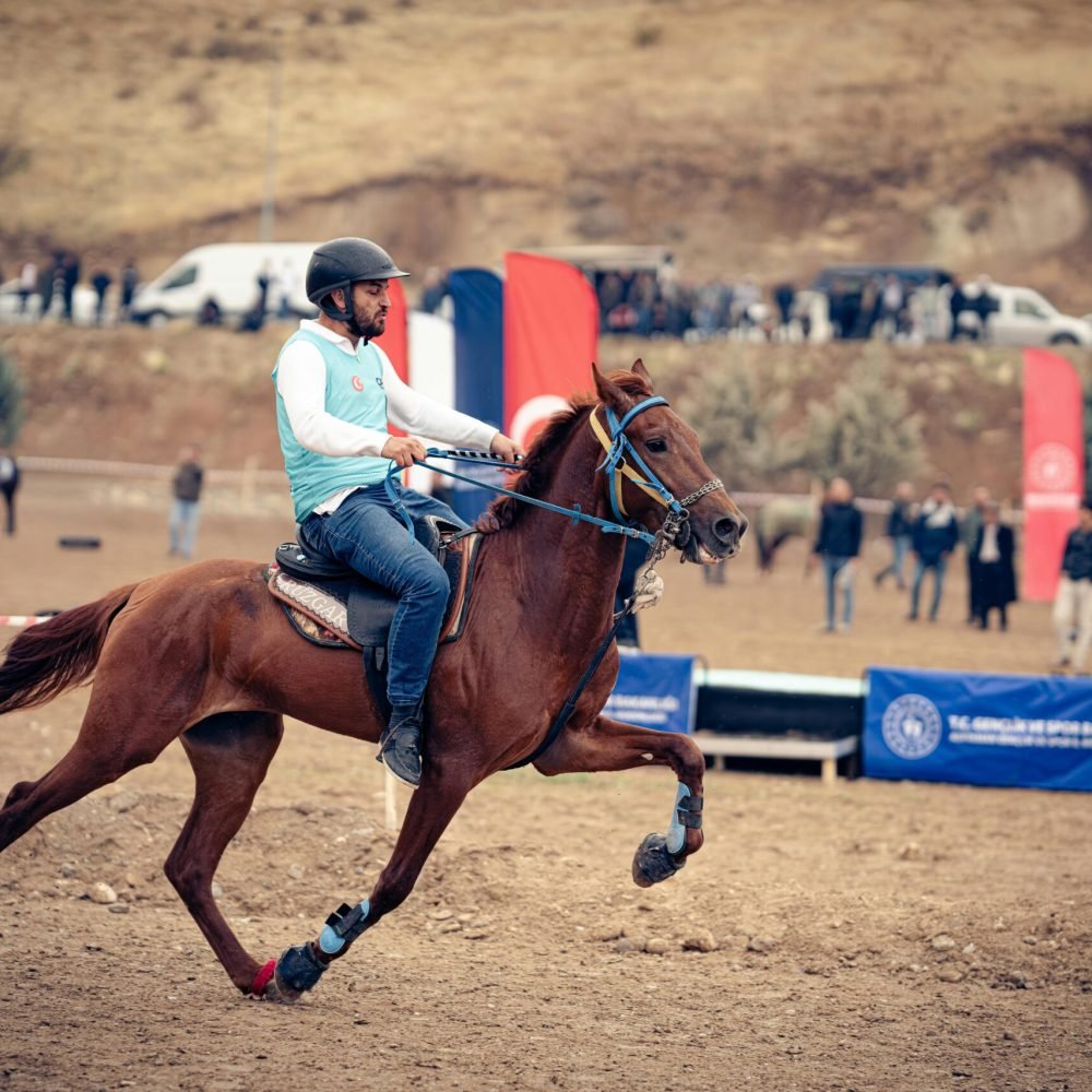 pexels-huseyin-aggul-2157961605-35273229